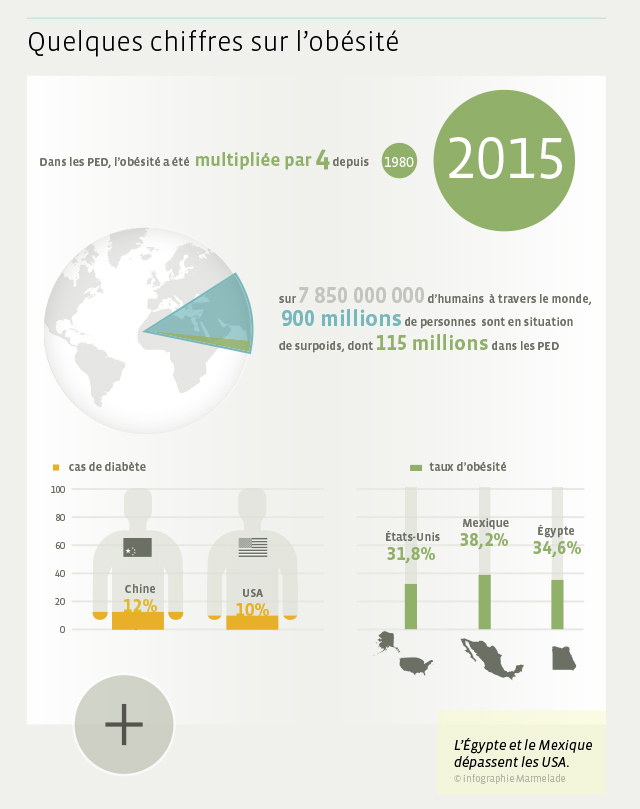 Quelques chiffres sur l'obésité
