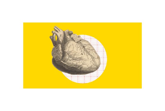 Erasme, cardiologie