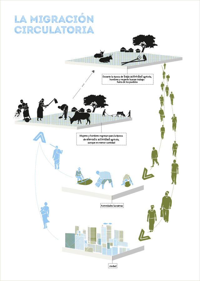 Infographie: La migration circulaire