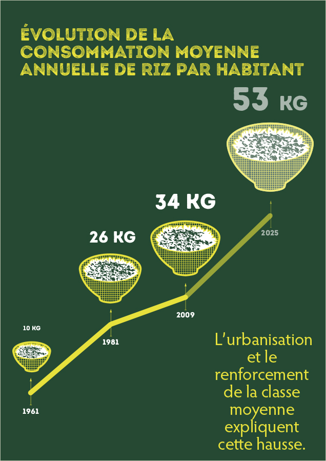 Graphique illustré de l'évolution de la consommation moyenne annuelle de riz par habitant (10kg en 1961, 34 kg en 2009)