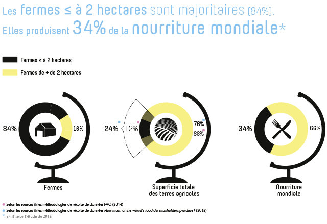 Les fermes de moins de deux hectares produisent 34% de la nourriture mondiale