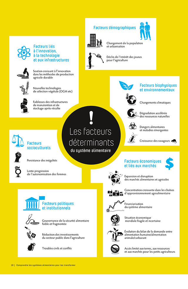 Les facteurs déterminants du système alimentaire