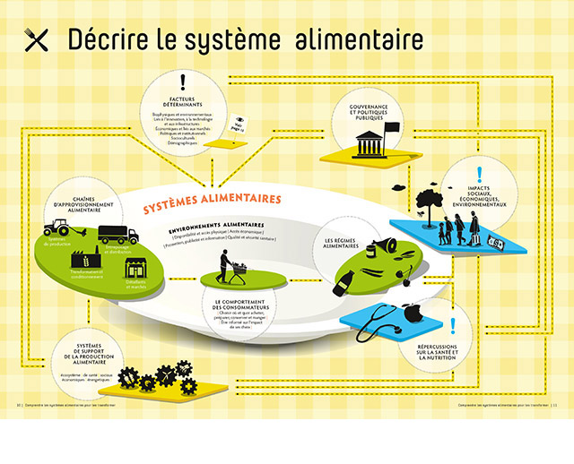 Infographie: décrire le système alimentaire