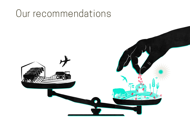 Illustration: Our recommendations