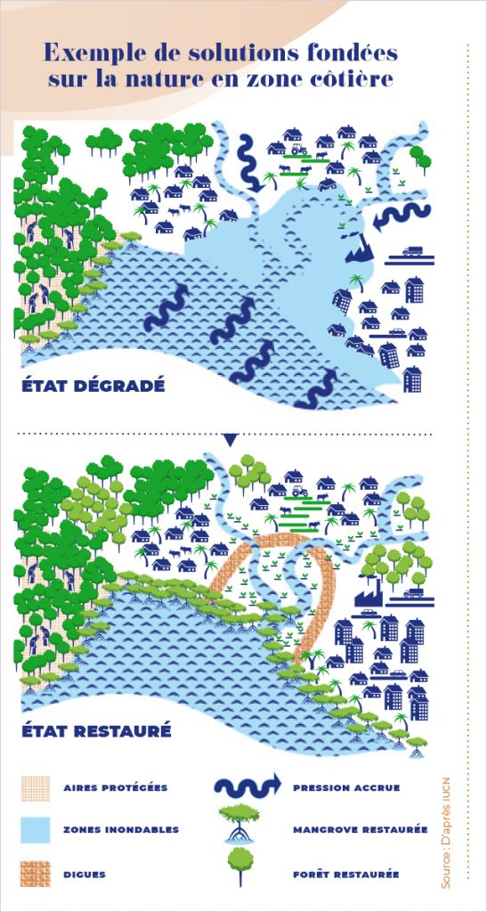 Infographie exemple de solutions fondées sur la nature en zone côtière