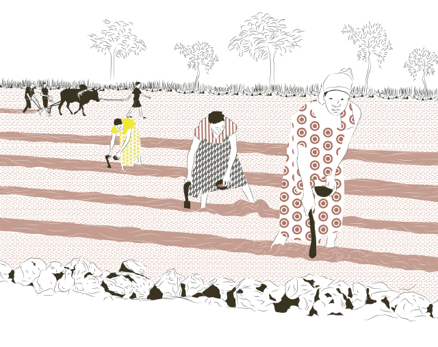 Illustration: récupération et protection des sols, le zaï et des femmes dans un champ